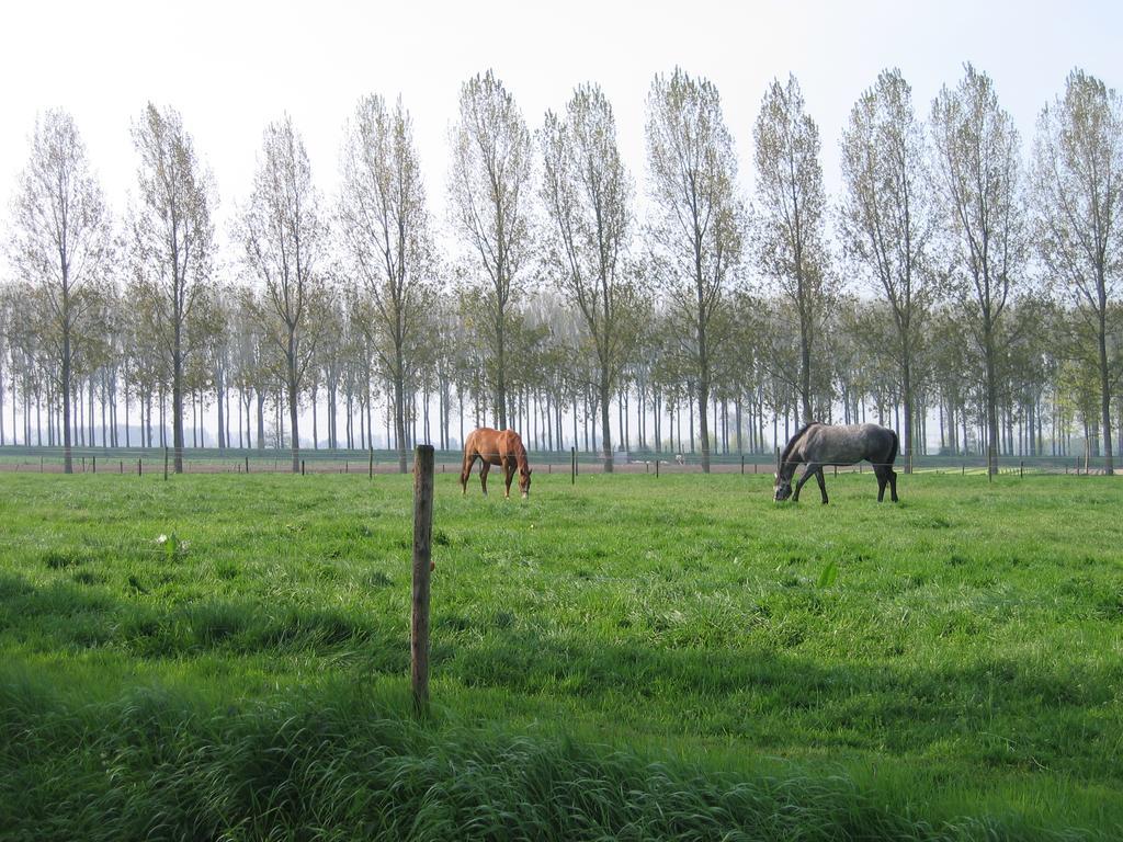 Jardin De Lieze Villa Maldegem Exterior foto